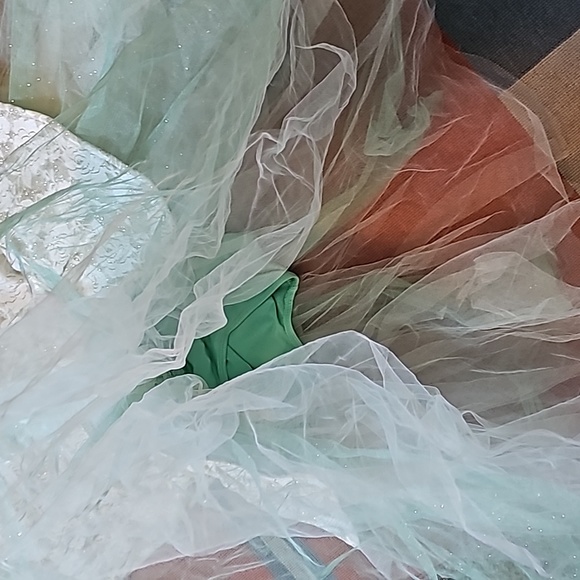 STUNNING WEISSMAN BALLET TUTU  COSTUME DRESS - Picture 4 of 16